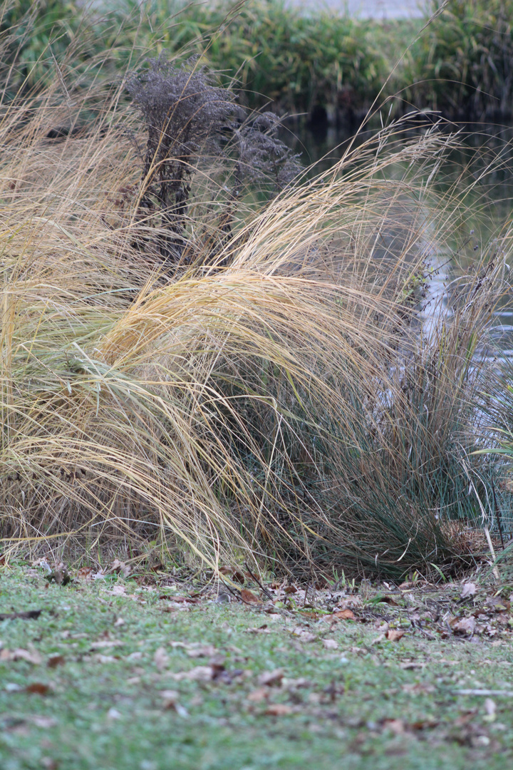 Natur Impressionen