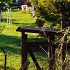 Natur Impressionen im Frühling