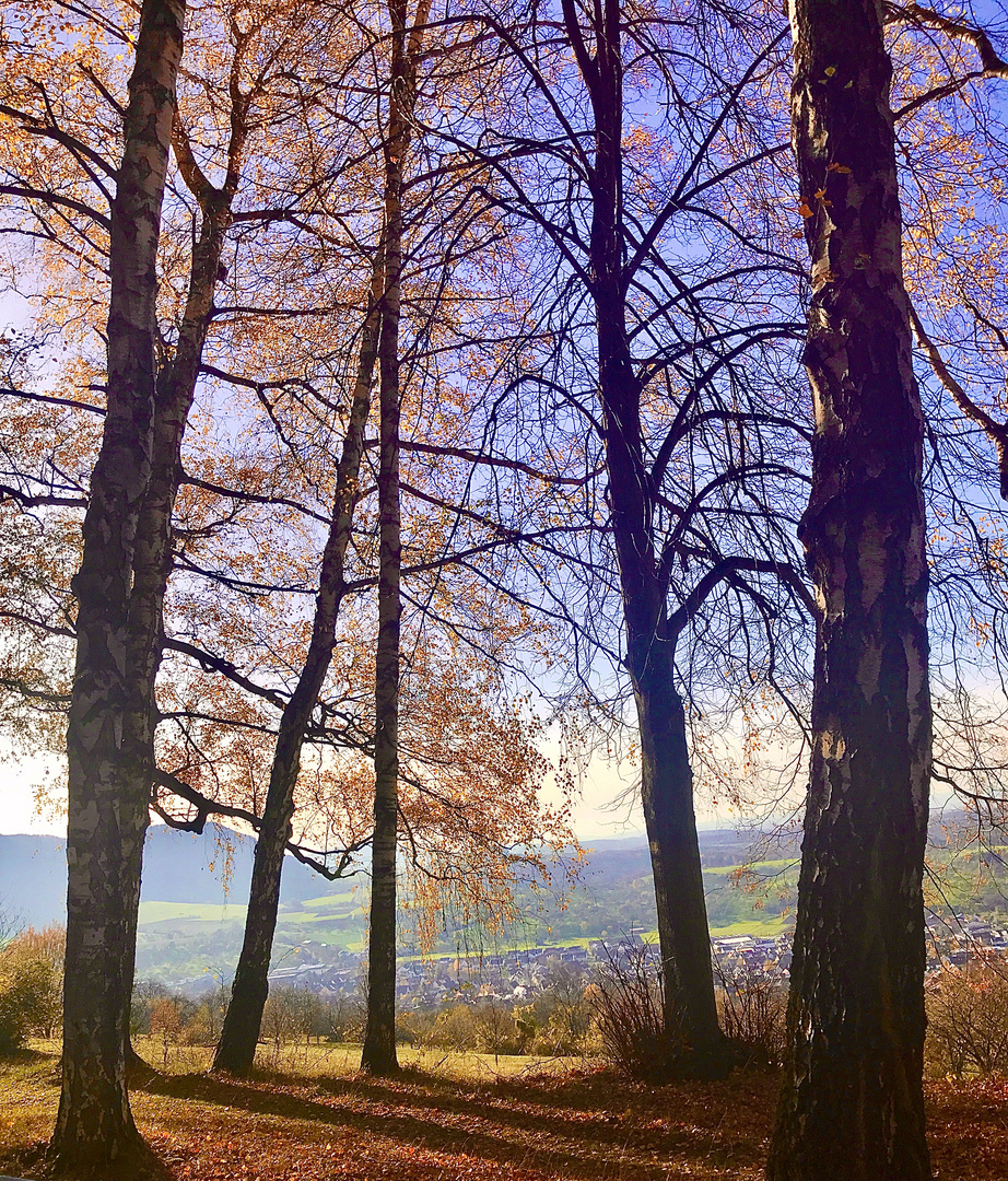 Natur Impressionen im Herbst