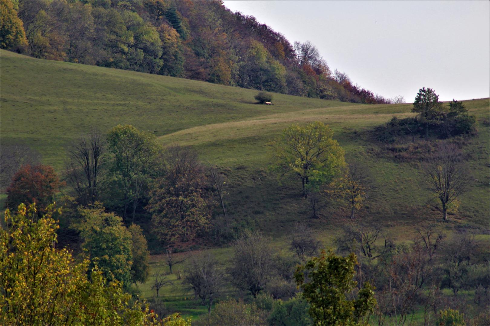 Natur Impressionen im Herbst