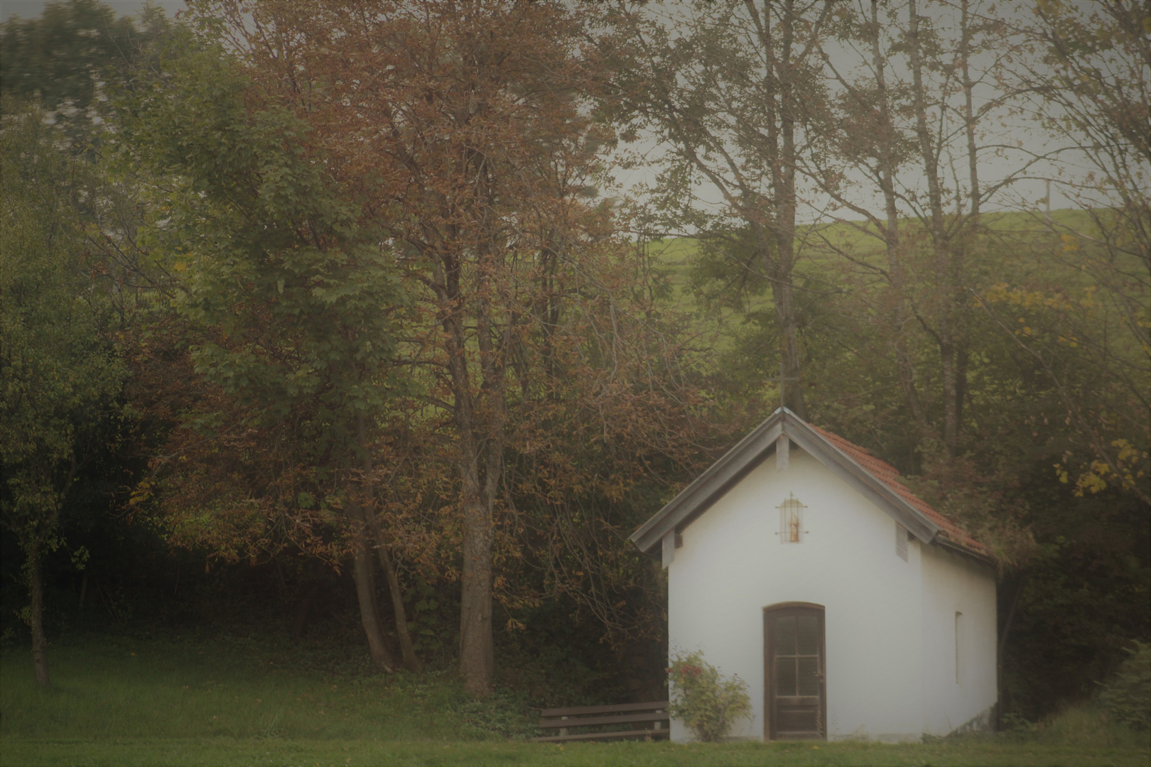 Natur Impressionen im Herbst