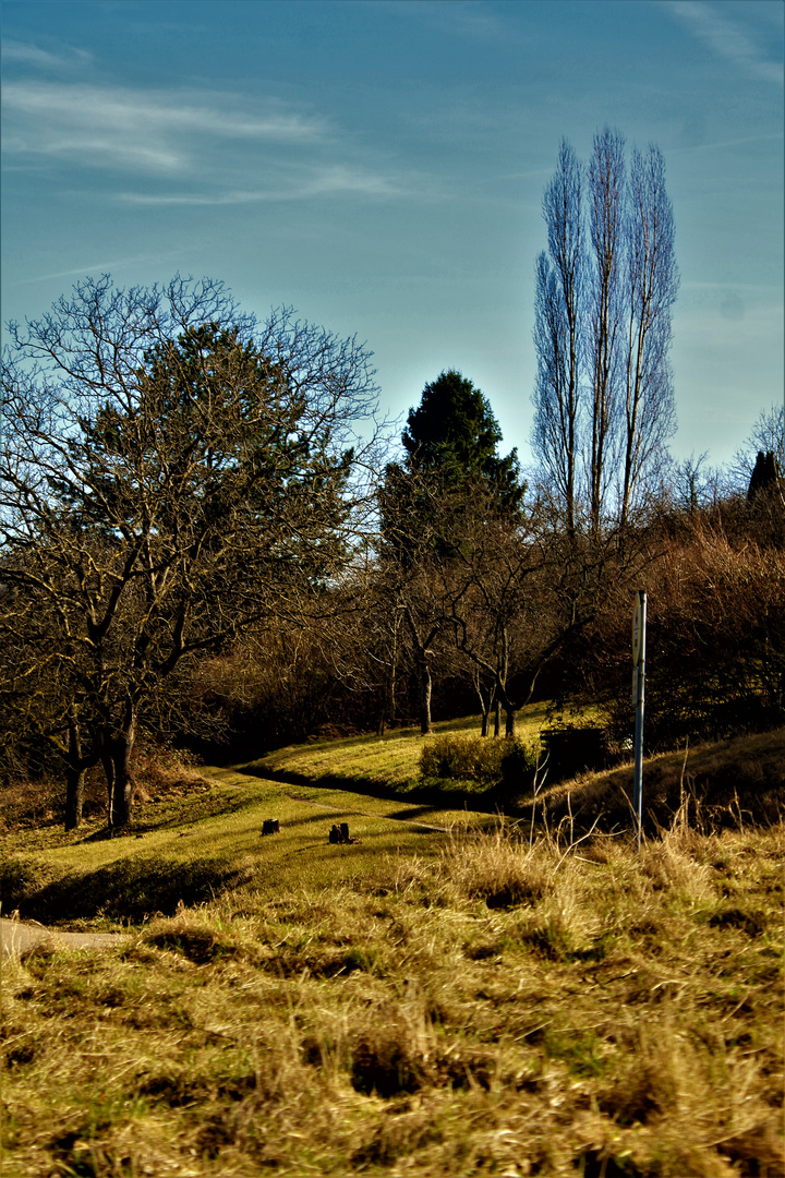 Natur Impressionen im März