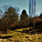 Natur Impressionen im März