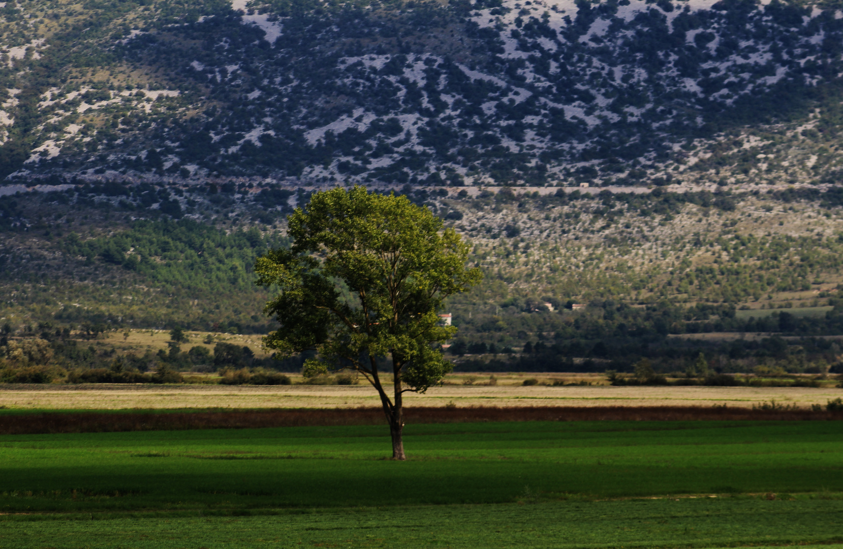 Natur Impressionen in Istrien