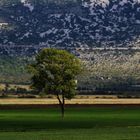 Natur Impressionen in Istrien