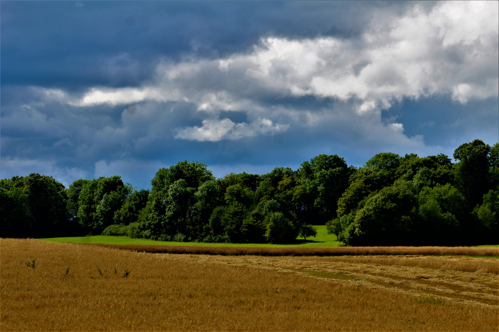 Natur  Impressionen rund um die schwäbische Alb