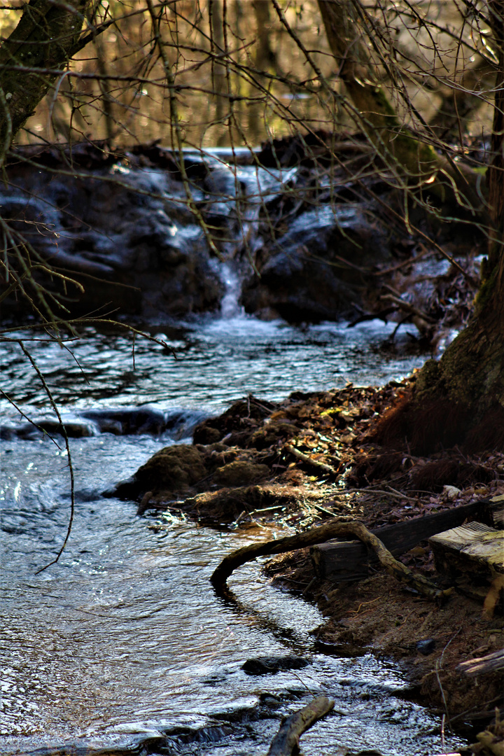 Natur Impressionen rund um die schwäbische Alb 