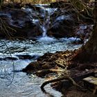 Natur Impressionen rund um die schwäbische Alb 