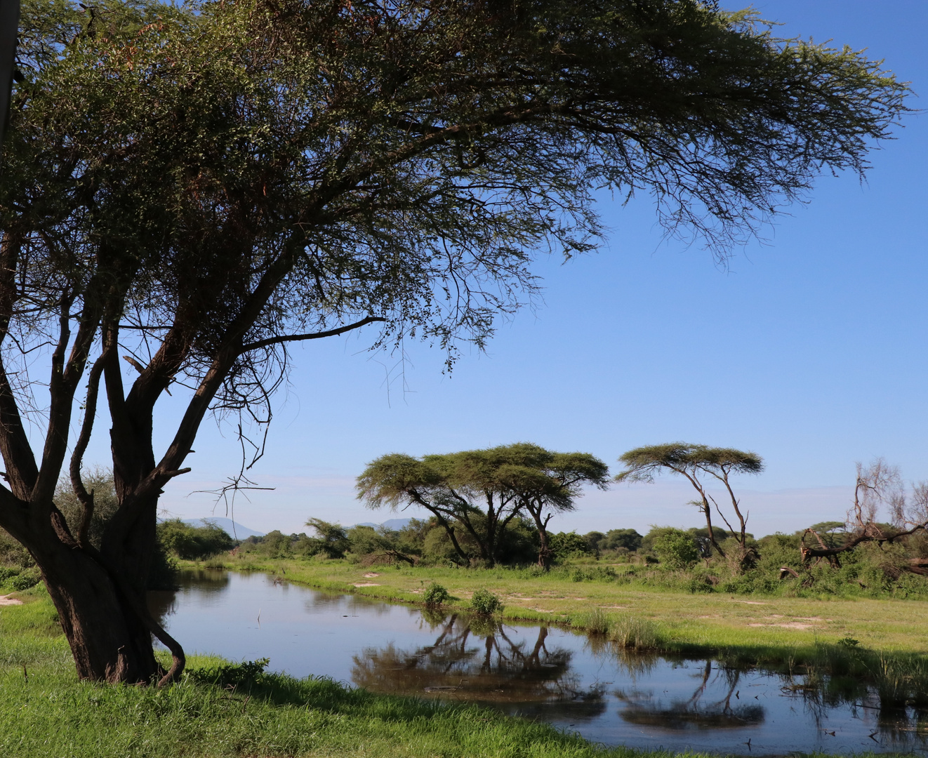 Natur in Afrika 