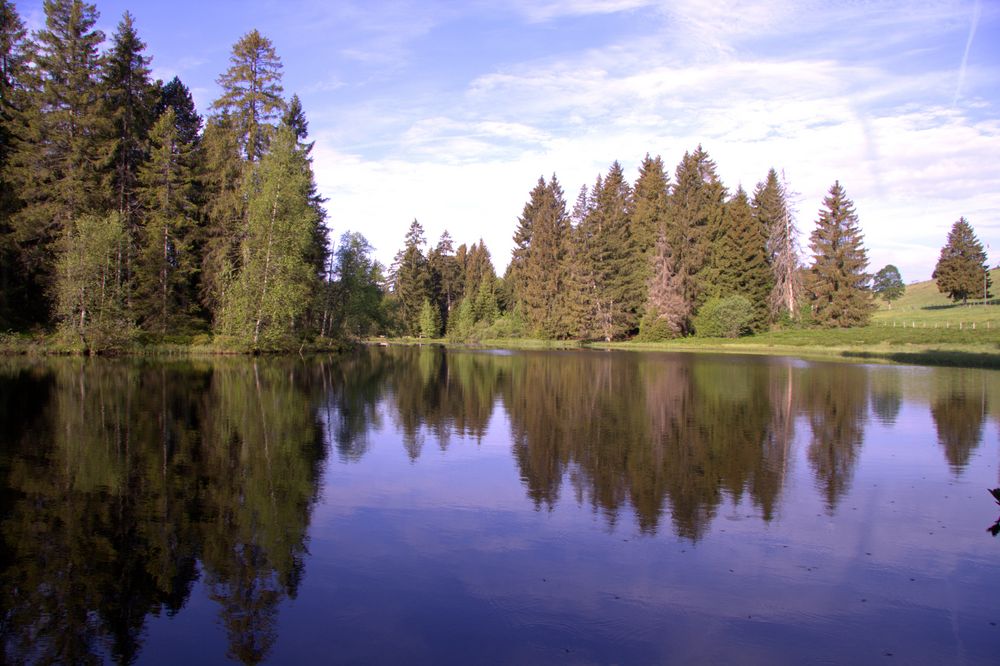 Natur in blau-grün