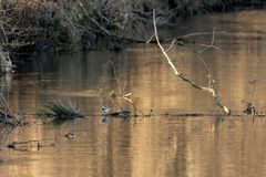 Natur in Brandenburg