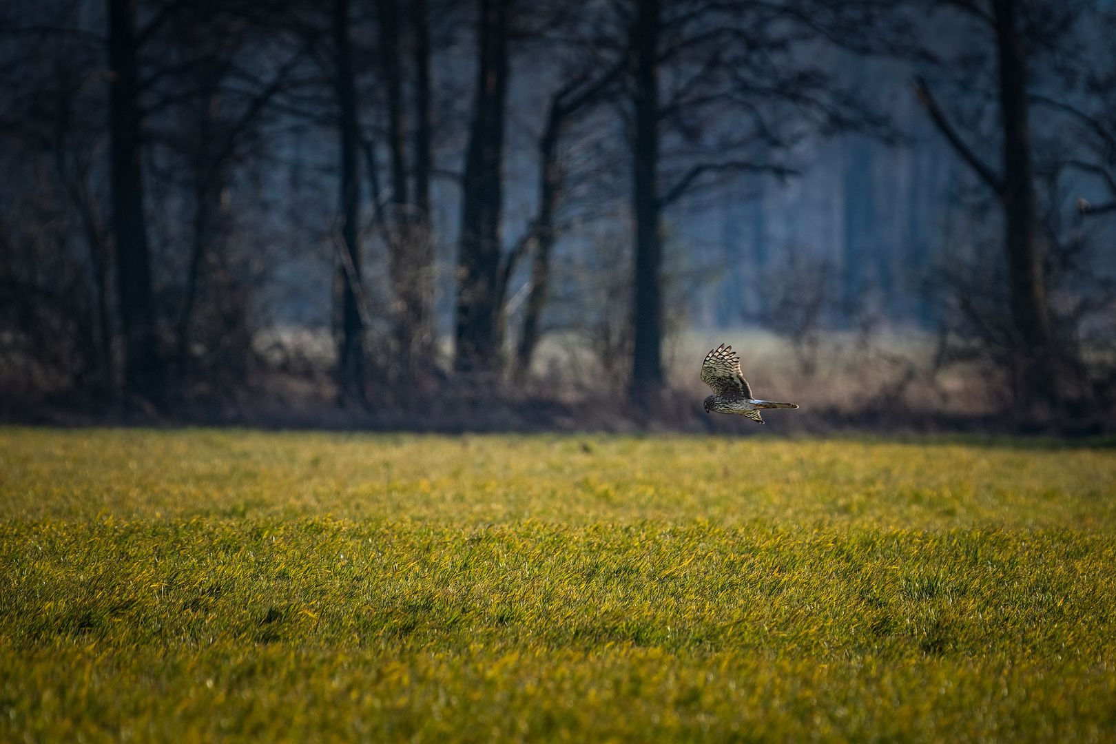 Natur in Brandenburg