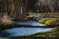 Natur in Brandenburg