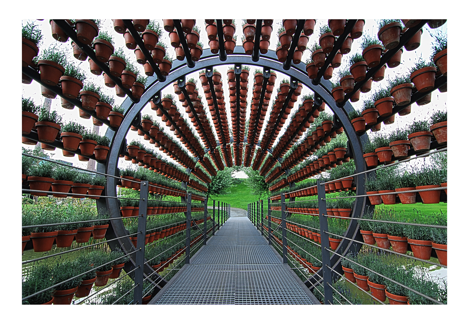 Natur in der Autostadt Wolfsburg