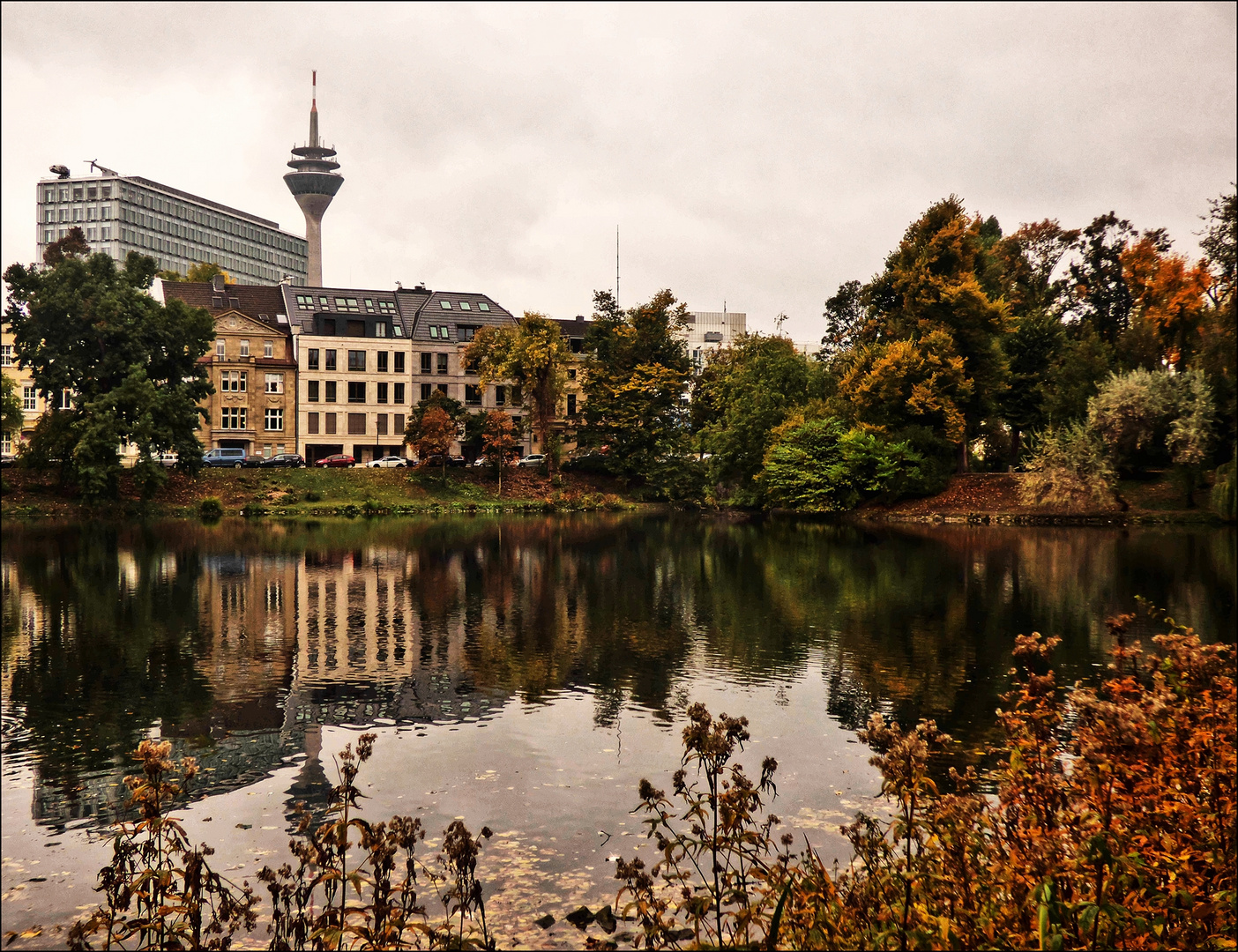 Natur in der Großstadt