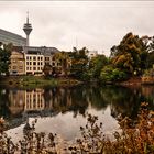 Natur in der Großstadt