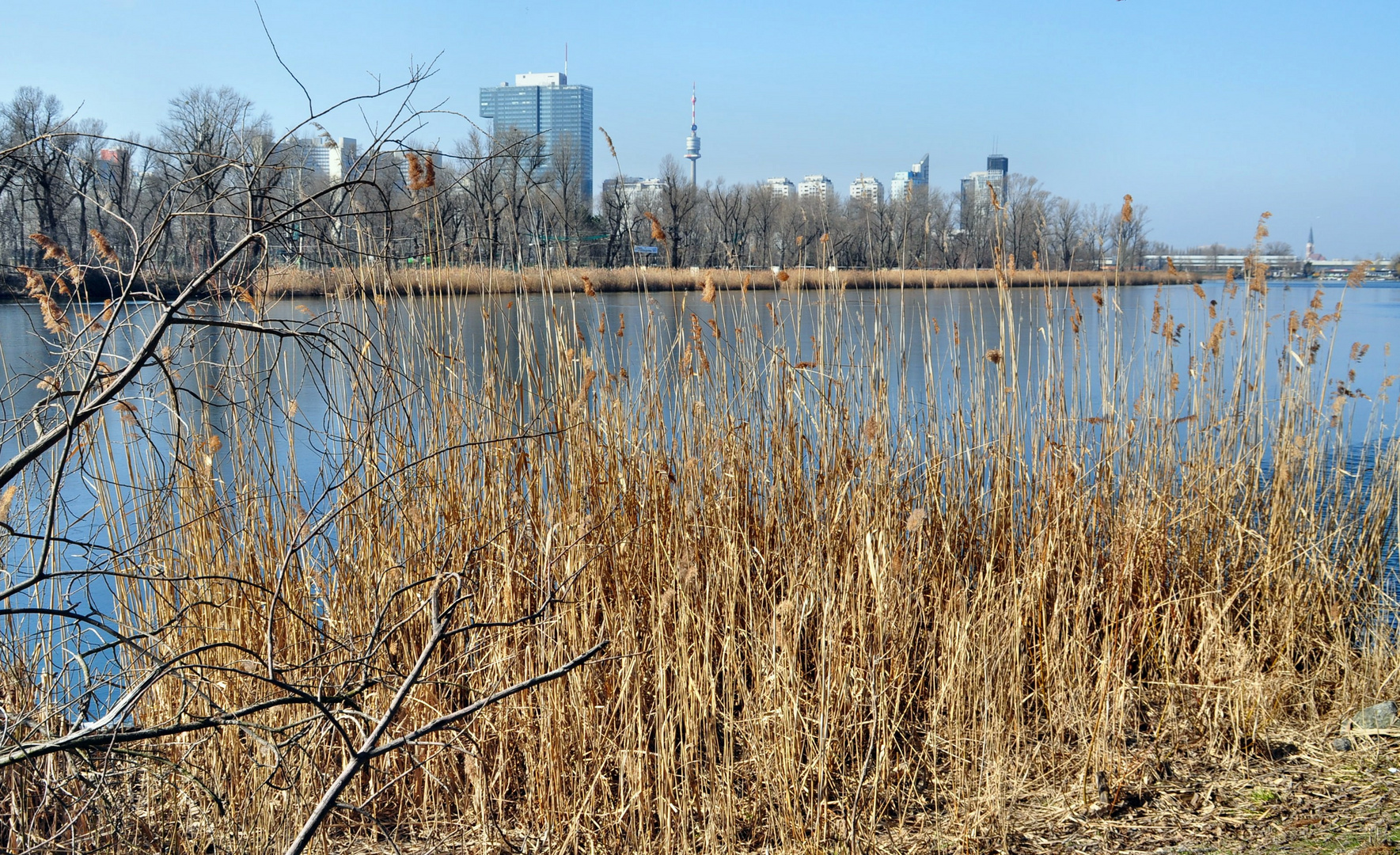 Natur in der Großstadt