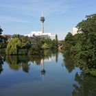 Natur in der Innenstadt