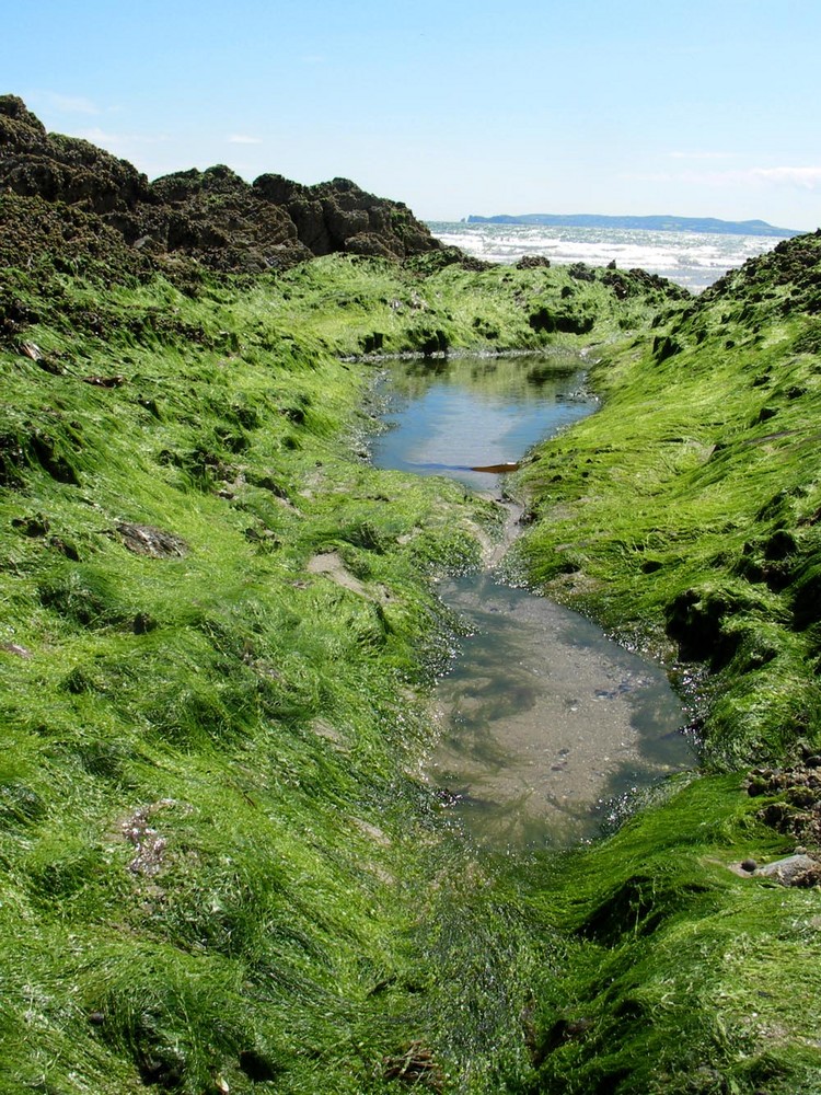 Natur in der Nationalpracht – irische Küste Teil II