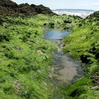 Natur in der Nationalpracht – irische Küste Teil II