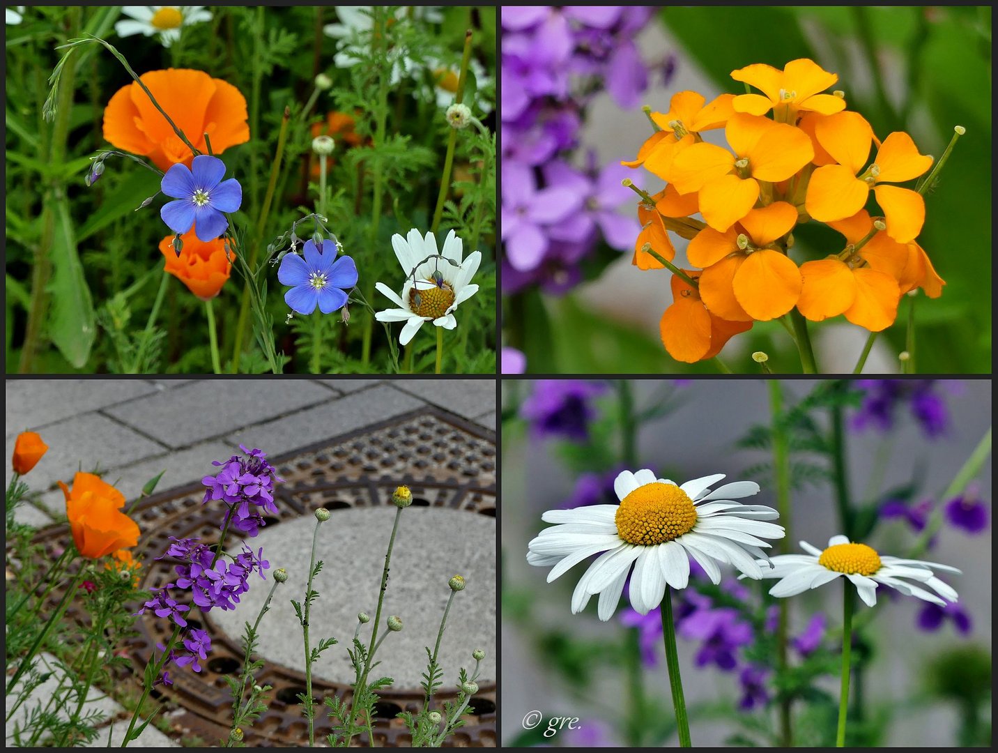 Natur in der Stadt