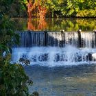 Natur in der Stadt 