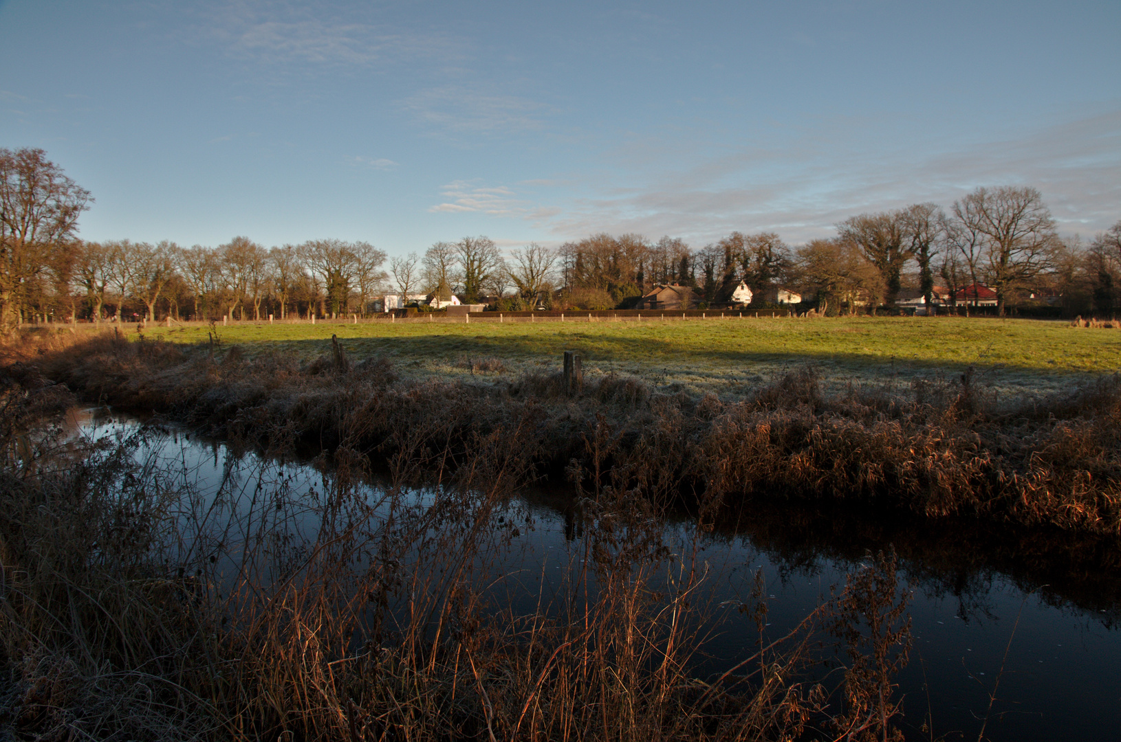 Natur in der Stadt 3