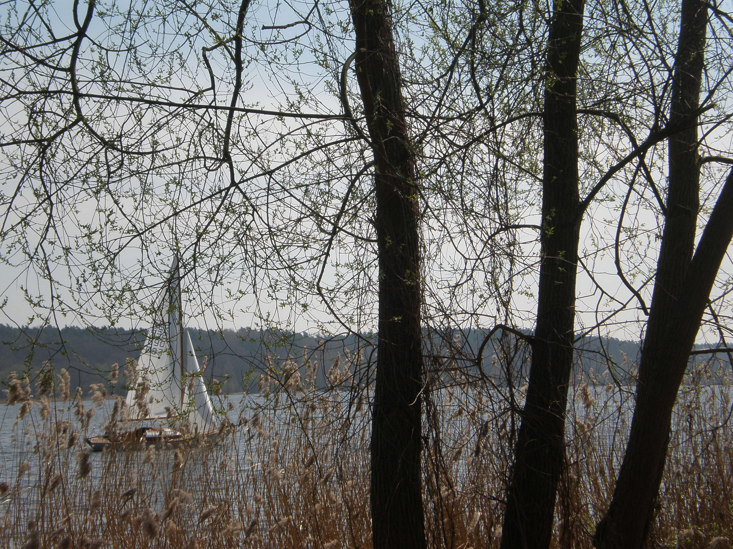 Natur in der Stadt