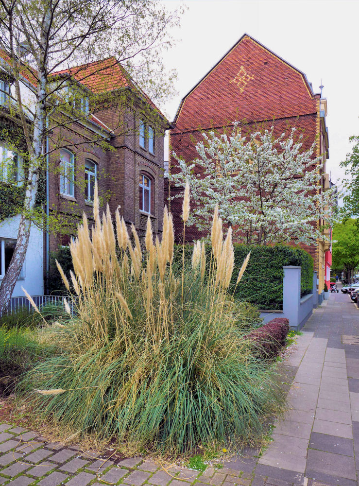 Natur in der Stadt