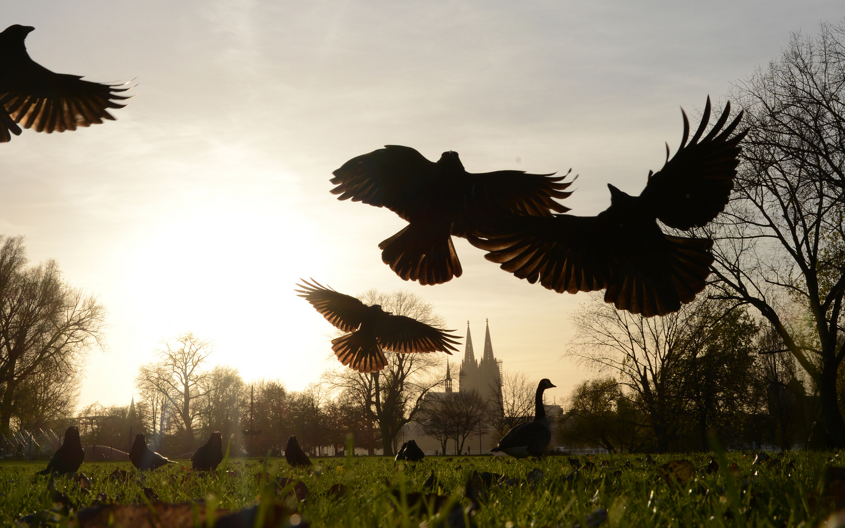 Natur in der Stadt