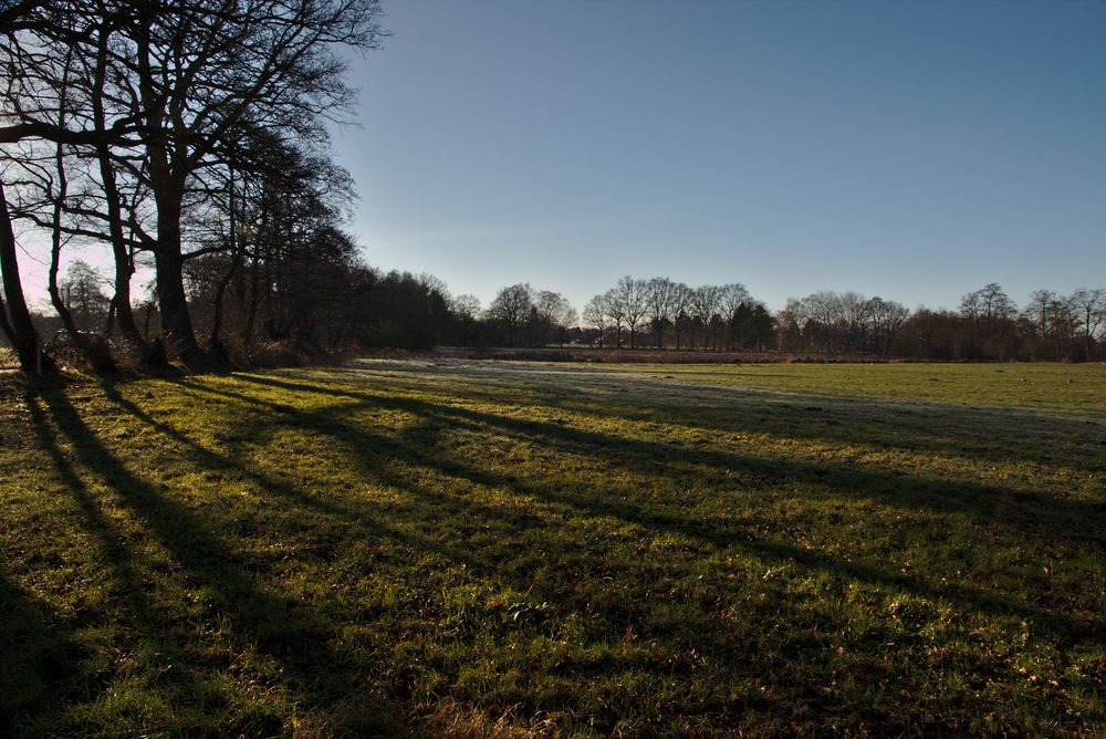 Natur in der Stadt (Oldenburg - Wechloy)