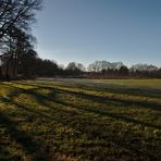 Natur in der Stadt (Oldenburg - Wechloy)