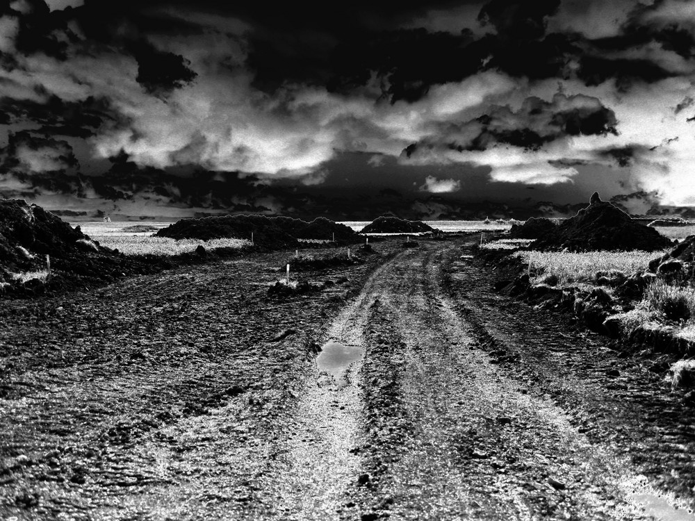 Natur in einer Anderen Form Foto & Bild | landschaft, zäune, bänke