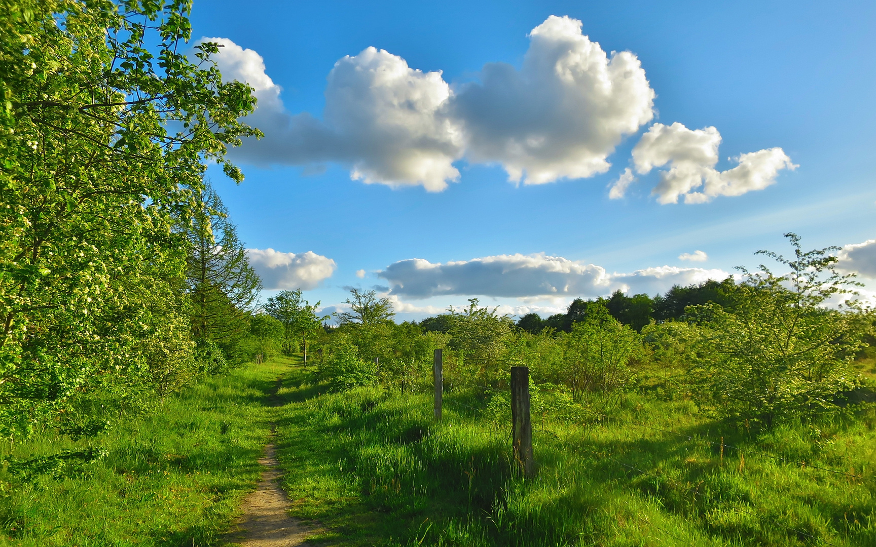 Natur in Flensburg