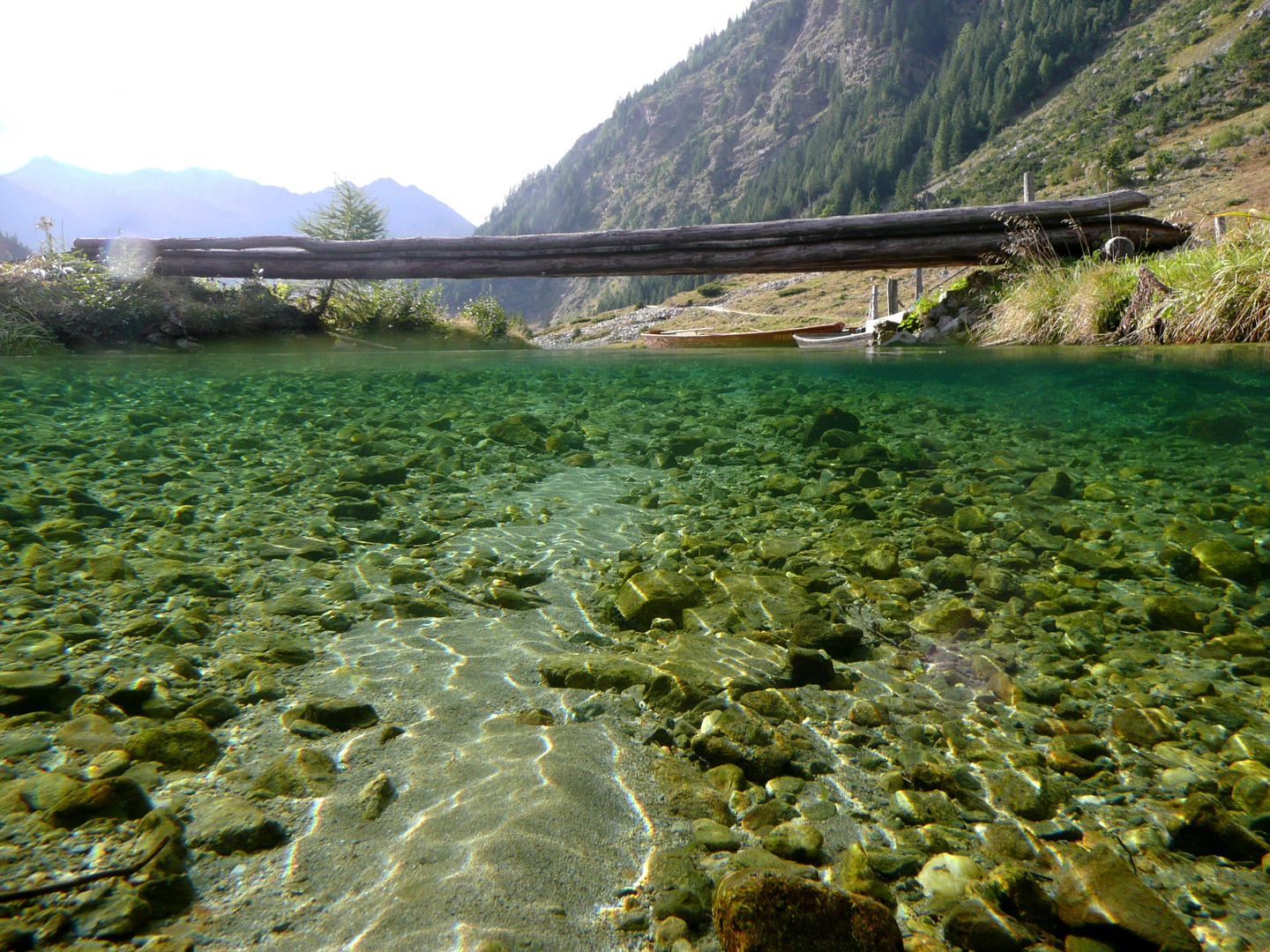 Natur in Halb - Halb