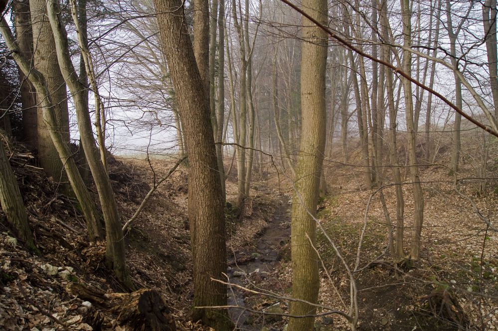 Natur in ihrer Einfachheit von pander 