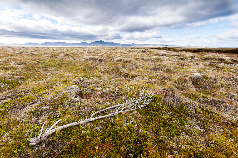 Natur in Island