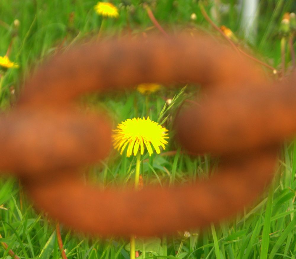 Natur in Ketten von Lusko