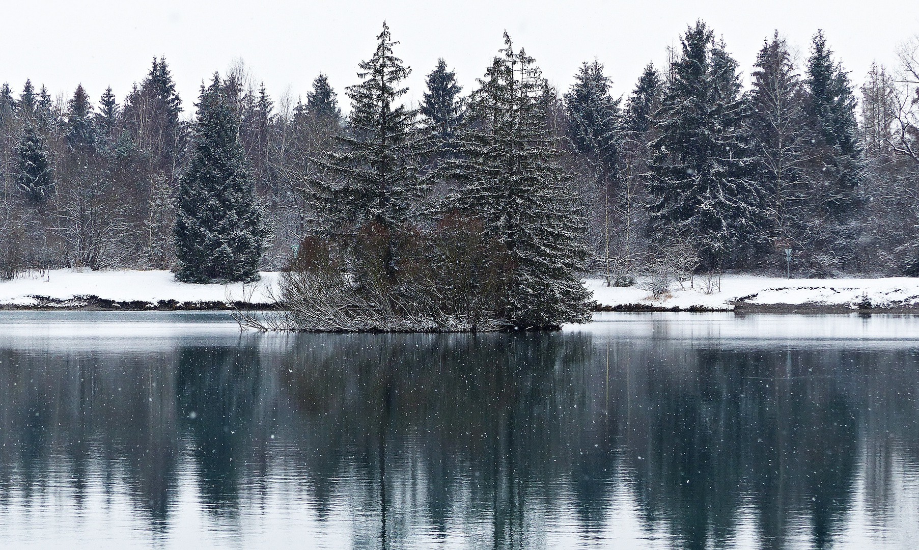 Natur in meiner Heimat