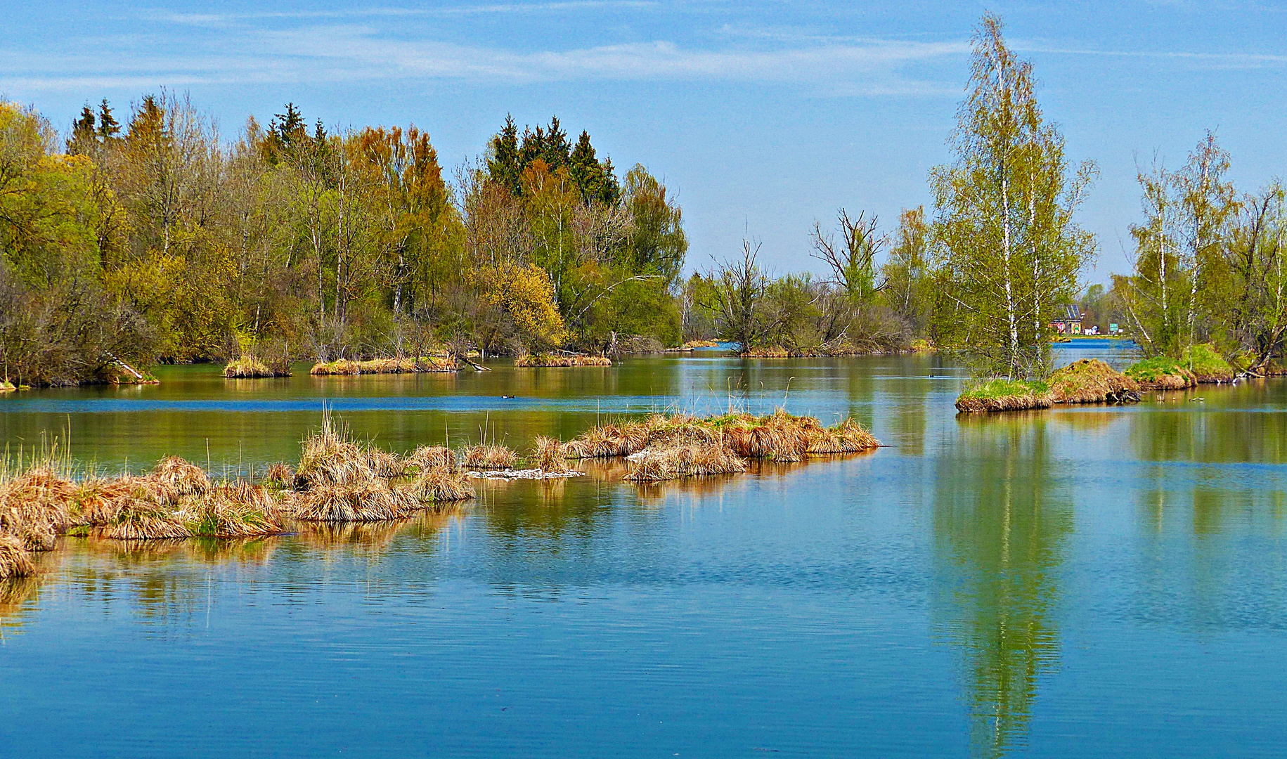 Natur in meiner Heimat