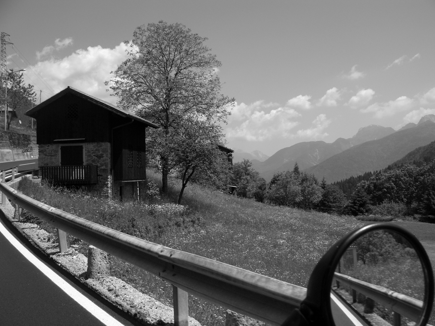 Natur in Schwarz u. Weiß