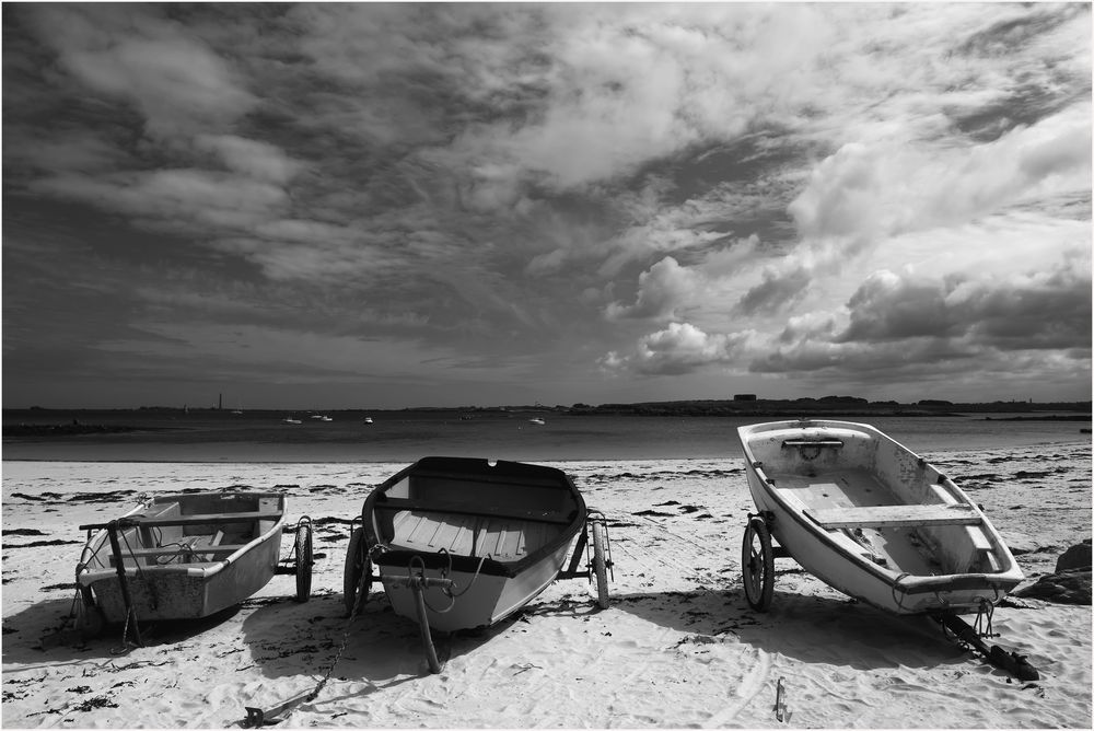 Natur in Schwarz Weiß 8 Foto & Bild | landschaft, meer & strand, natur