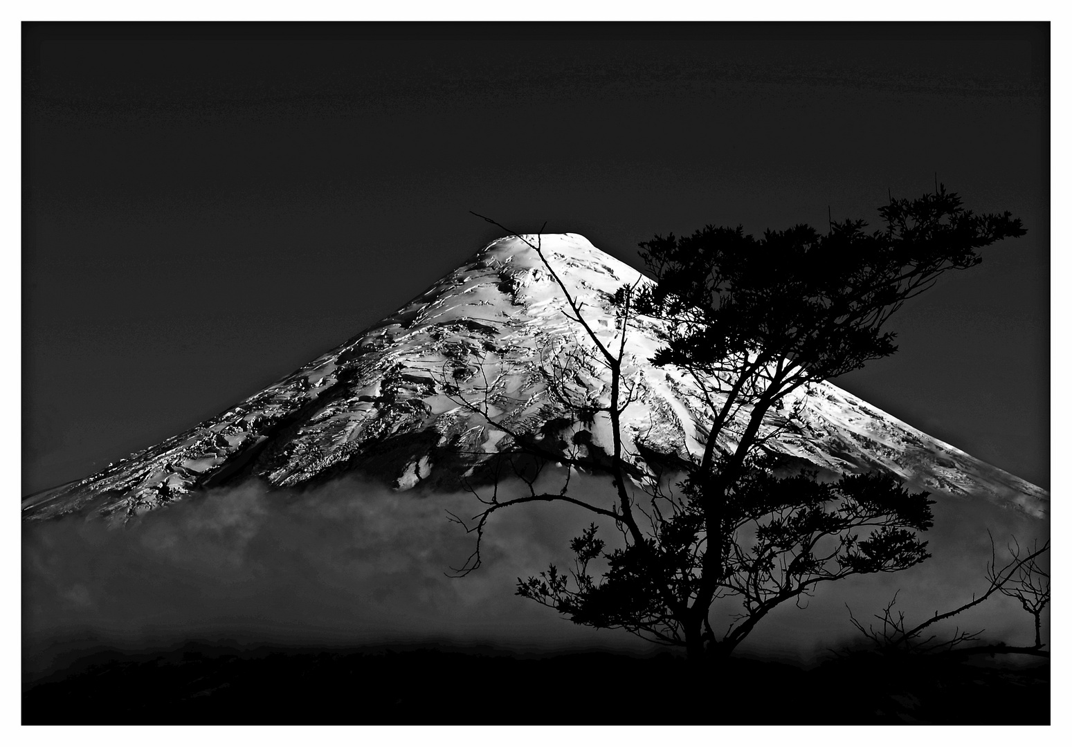 Natur In Schwarz Weiss Foto Bild Natur Kreativ Aufnahmetechniken Natur Fine Art Bilder Auf Fotocommunity