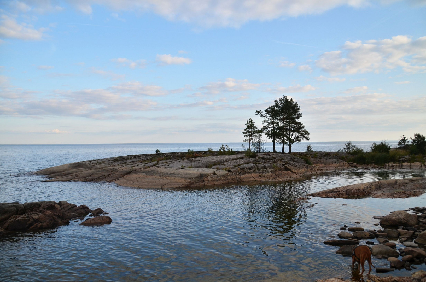 Natur in Schweden