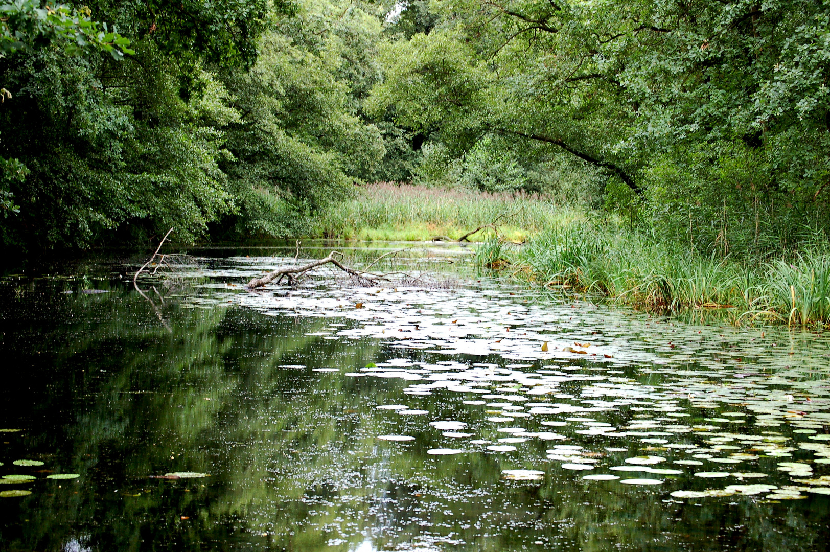 Natur in Südbrandenburg