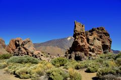 Natur in Teneriffa