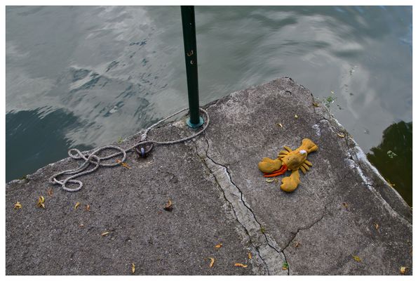 "Natur" in Tübingen