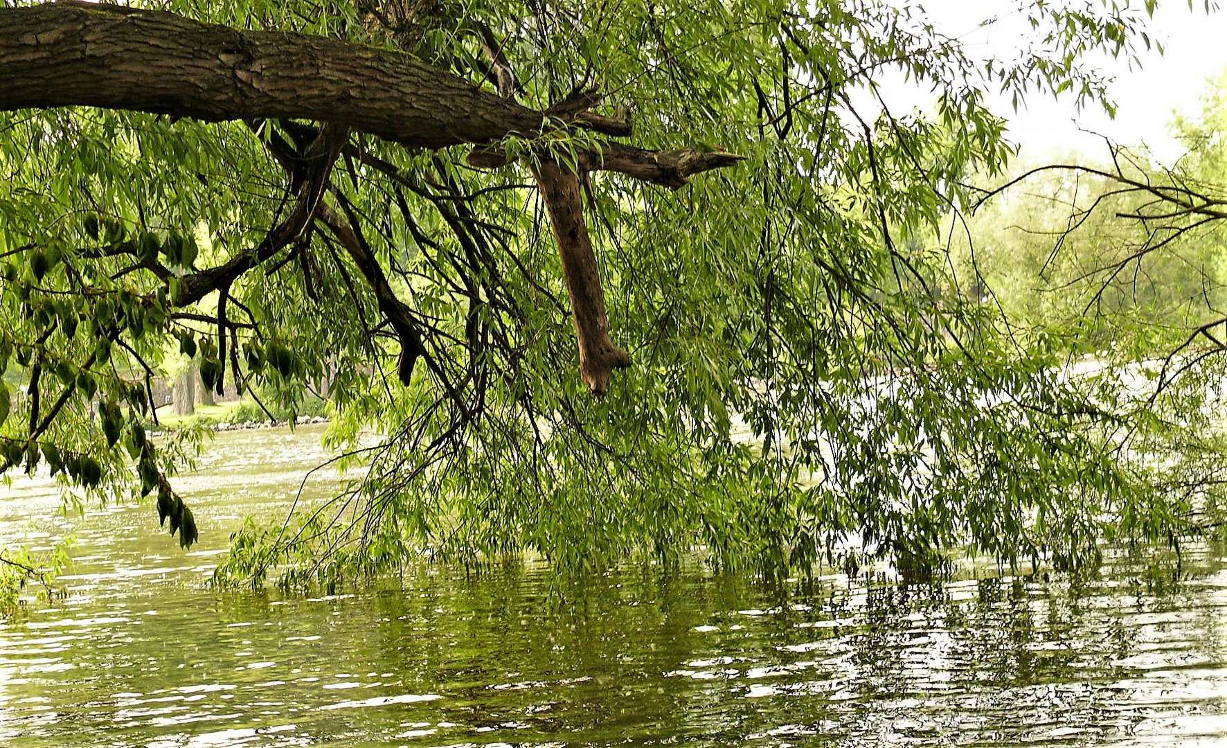 Natur in Vollendung