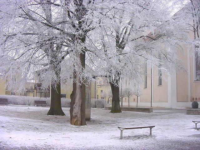 Natur in Weiß