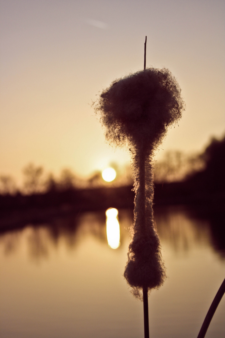 Natur ist auch nur ein Jahrmarkt mit Zuckerwatte :)